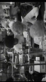 Poster de la película Trois Mille Fois Par Jour