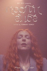 Poster de la película Nephin Subs