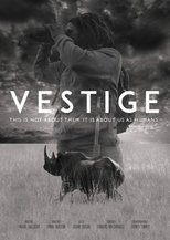 Poster de la película Vestige