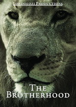 Poster de la película The Brotherhood