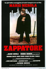 Poster de la película Zappatore