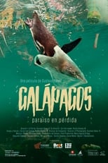 Poster de la película Galápagos: Paraíso en Pérdida