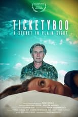 Poster de la película Ticketyboo