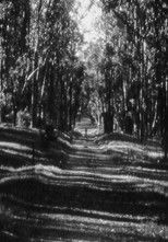 Poster de la película Bagatelle I