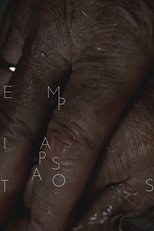Poster de la película Pasatiempos