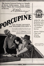 Poster de la película The Girl from Porcupine