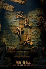 Poster de la película 盗墓寻龙