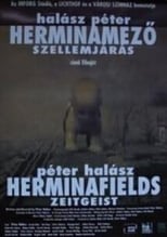 Poster de la película Herminafields - Zeitgeist