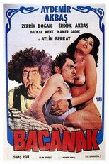 Poster de la película Bacanak