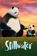 Poster de la serie Stillwater