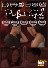 Poster de la película Perfect Girl