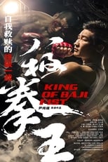 Poster de la película 八极拳王