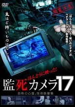 Poster de la película Paranormal Surveillance Camera 17