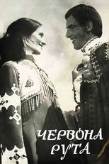 Poster de la película Red Ruta