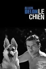 Poster de la película Le Chien