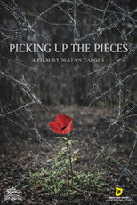 Poster de la película Picking Up the Pieces