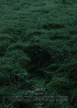 Poster de la película Grain