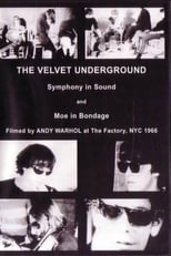 Poster de la película The Velvet Underground and Nico: A Symphony of Sound