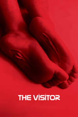 Poster de la película The Visitor