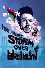 Poster de la película Yusuf Hawkins: Storm Over Brooklyn