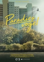 Poster de la película Bird of Paradise