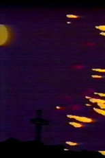Poster de la película Fireworks