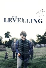 Poster de la película The Levelling