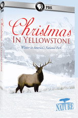 Poster de la película Christmas in Yellowstone