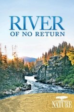 Poster de la película River of No Return