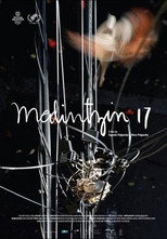 Poster de la película Malintzin 17