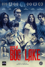 Poster de la película Secret of Bog Lake