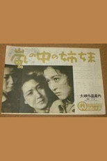 Poster de la película Arashi no naka no shimai