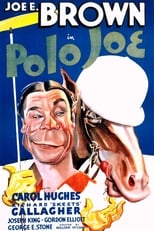 Poster de la película Polo Joe