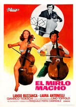 Poster de la película El mirlo macho