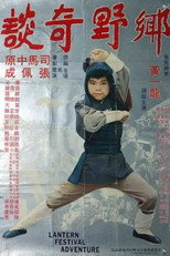 Poster de la película Lantern Festival Adventure