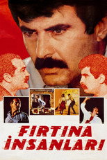 Poster de la película Demir Yol