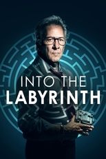 Poster de la película Into the Labyrinth