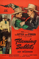 Poster de la película Flaming Bullets