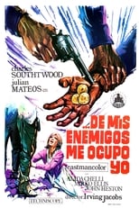 Poster de la película ¡De mis enemigos me ocupo yo!