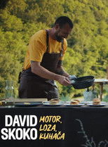 Poster de la serie David Skoko: Motor, loza, kuhača