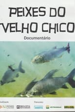 Poster de la película Peixes do Velho Chico