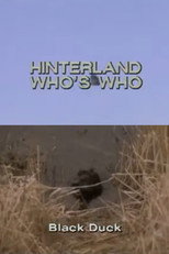 Poster de la película Hinterland Who's Who: Black Duck