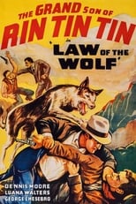 Poster de la película Law of the Wolf