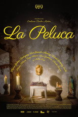 Poster de la película The Wig