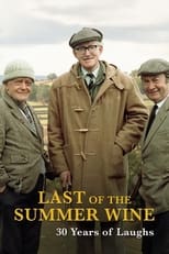 Poster de la película Last Of The Summer Wine: 30 Years Of Laughs