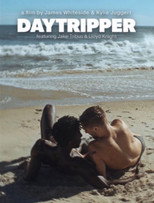 Poster de la película Daytripper