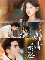 Poster de la serie 婚情难逃