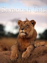 Poster de la película Savannah Cats