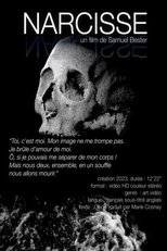 Poster de la película Narcisse