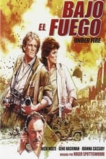 Poster de la película Bajo el fuego